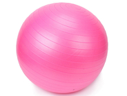 65cm Yoga Balance Ball Birthing Pilates Stability Ball Supports 2000lbs